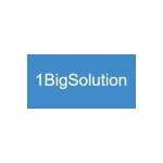1bigsolution coupons and promo codes