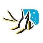 Algone coupons and promo codes