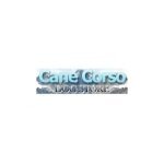 Cane Corso Dog Store coupons and promo codes
