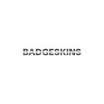 Badgeskins coupons and promo codes
