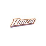 Banzai coupons and promo codes