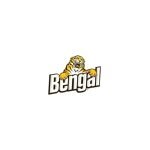 Bengal coupons and promo codes