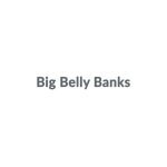Big Belly Banks coupons and promo codes