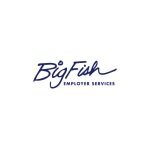 Big Fish Employer Services coupons and promo codes