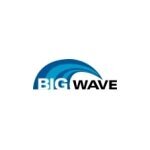 BigWave coupons and promo codes