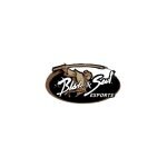 Blade & Soul coupons and promo codes