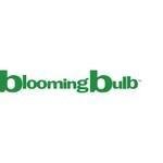 BloomingBulb coupons and promo codes