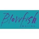 Blowfishshoes.com coupons and promo codes