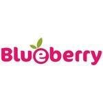 Blueberry coupons and promo codes