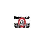 Blunteffects coupons and promo codes