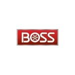 Boss Snowplow coupons and promo codes