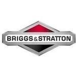 BRIGGS & STRATTON coupons and promo codes