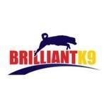 Brilliantk9.com coupons and promo codes
