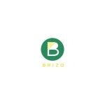 Brizo Dressing coupons and promo codes