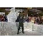 Brooklynoutfitters.com coupons and promo codes