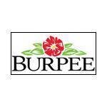 Burpee coupons and promo codes