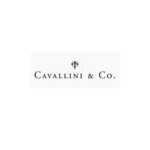 Cavallini & Co. coupons and promo codes