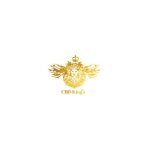CBD Kings coupons and promo codes