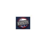 Civil War Badges coupons and promo codes