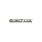 Coasterdynamix coupons and promo codes