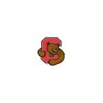 Cornell Sports coupons and promo codes