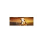 Creat Boutique coupons and promo codes