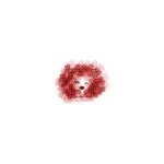 Curlytea coupons and promo codes