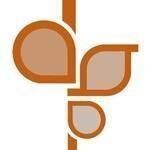 Design Studio Press coupons and promo codes