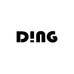 Ding Bike Lights coupons and promo codes