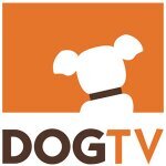 DOGTV coupons and promo codes