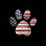 Doomfox.club coupons and promo codes