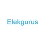 Elekgurus coupons and promo codes