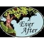 EverAfterStore.com coupons and promo codes