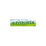 Evergreen coupons and promo codes