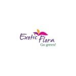 Exotic Flora coupons and promo codes