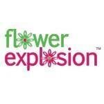 Flower Explosion coupons and promo codes