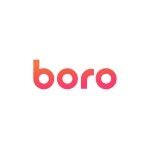 Boro coupons and promo codes