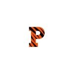 Princeton University Athletics coupons and promo codes