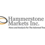 Hammerstone Markets, Inc coupons and promo codes