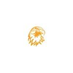 Hawk Tools USA coupons and promo codes