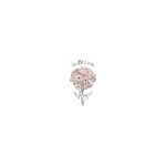 In Bloom by Jonquil coupons and promo codes