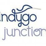 Indygojunction.com coupons and promo codes