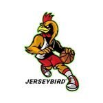 JerseyBird coupons and promo codes