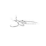 John Page Classic coupons and promo codes