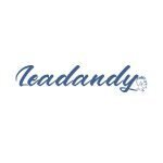 Leadandy coupons and promo codes
