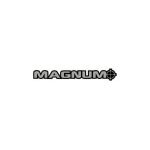 Magnum coupons and promo codes