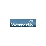 Mammoth Mountain coupons and promo codes