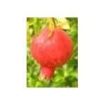 McEvoy Ranch coupons and promo codes