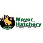 Meyerhatchery.com coupons and promo codes
