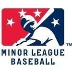 Minor League Baseball coupons and promo codes